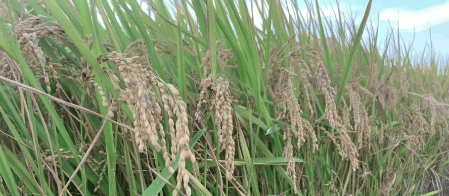 2025-12-05T08_14_51 2025-12-05T08_14_51